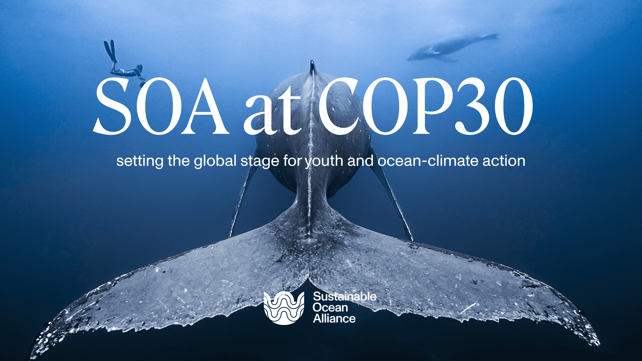 COP30: The Global Stage for Youth and Ocean-Climate Action