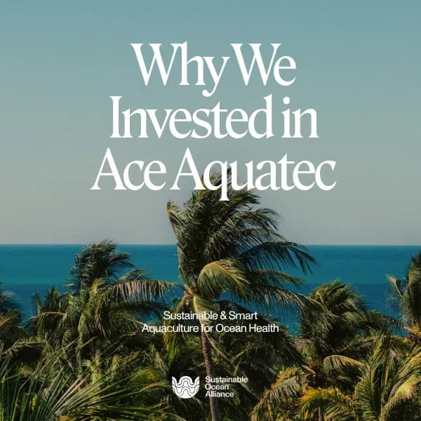 Ace Aquatec Investment