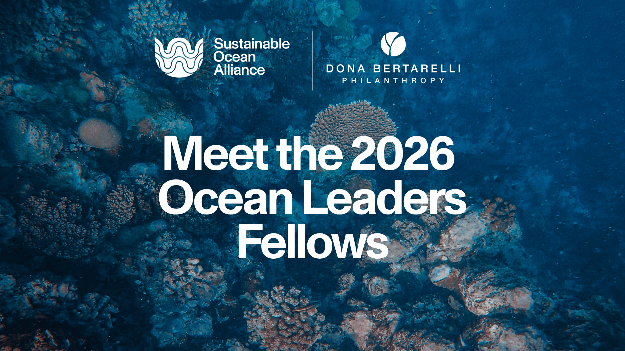 Announcing the 2026 Ocean Leaders Fellowship