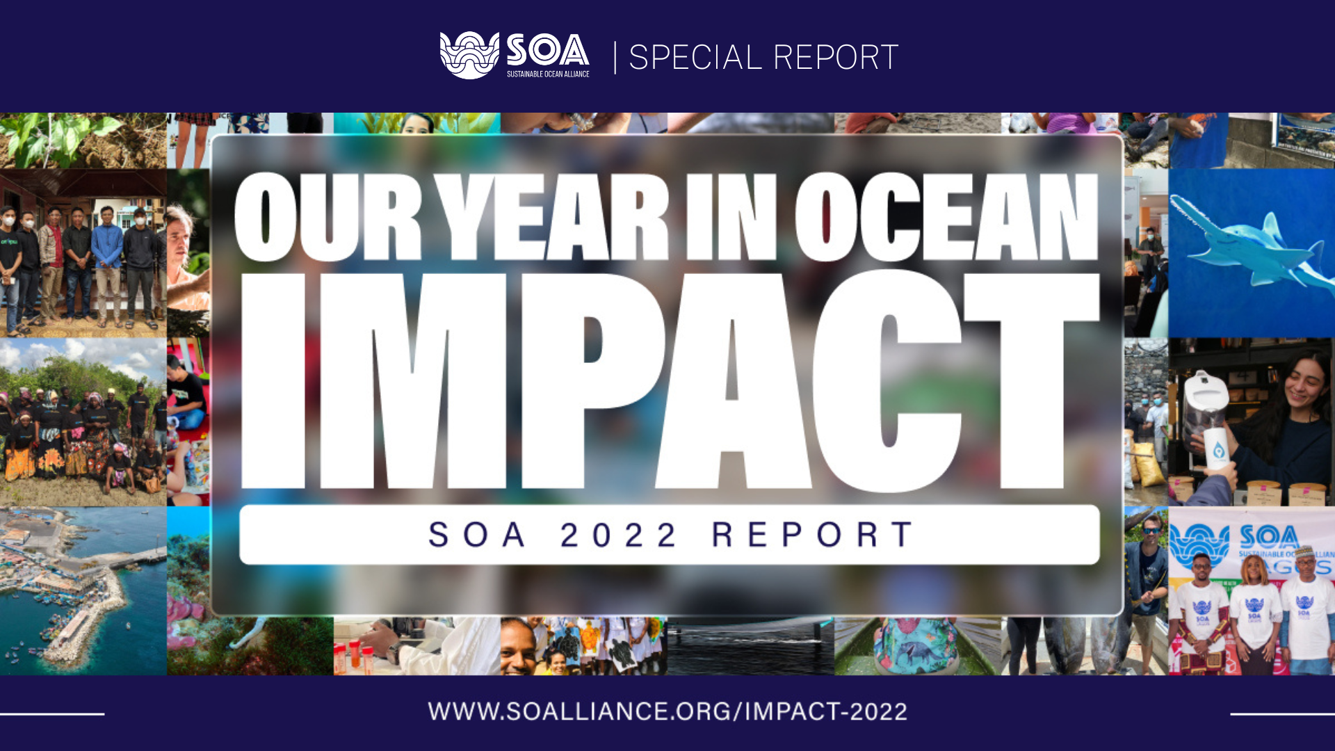 Impact Report 2022