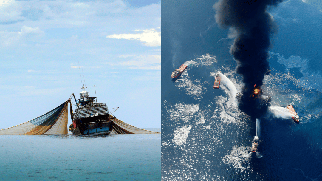 5.9.25 IUUoil spill body images