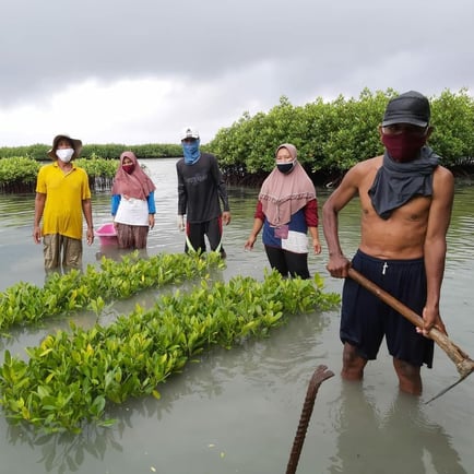 Innandya Irawan CarbonEthics