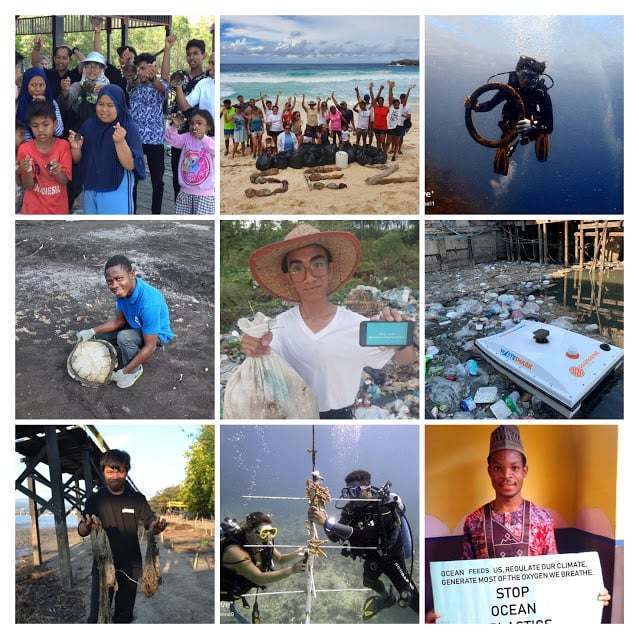 Collage Executive Summary 1