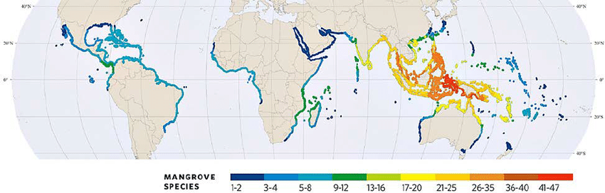 Mangrove_Distribution