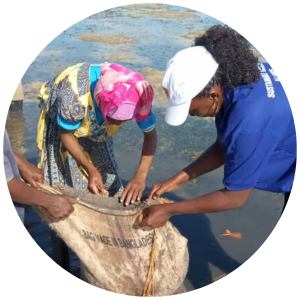 SOA tanzania
