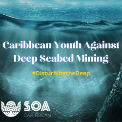 SOACaribbean-TrinidadTurtleWatchingandTaggingTour1