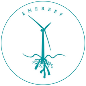 enereef