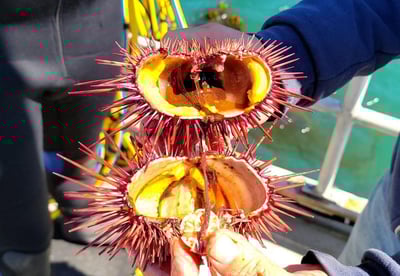 image000001-1