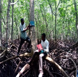 microgrant forest scholars