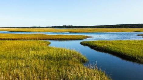 salt-marsh-2763723_1920