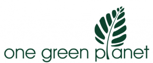 one-green-planet-300x124