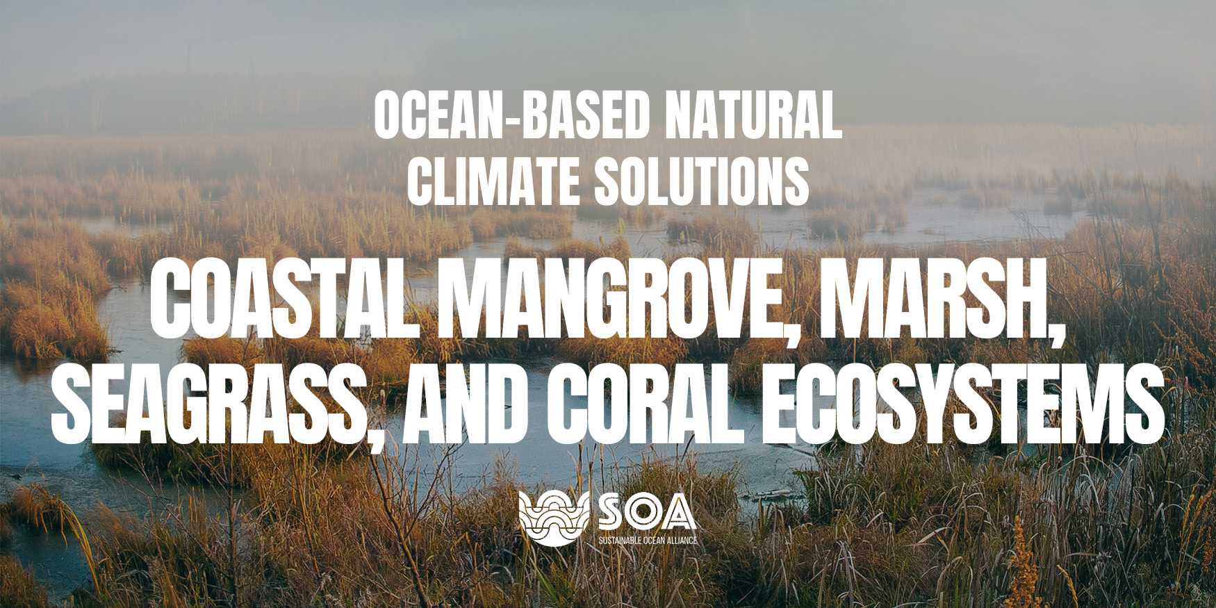 Grounded - The preservation of keystone species is a fundamental part of  solving the climate crisis and restoring a healthy environment. A keystone  species defines an entire ecosystem, and the loss of