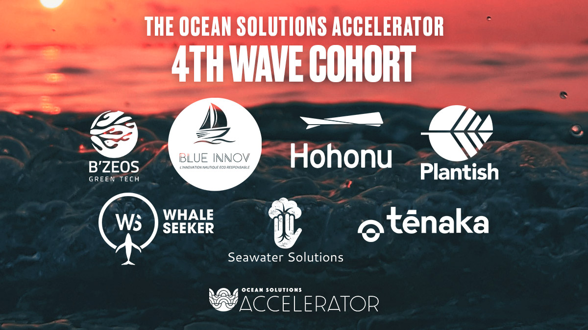 Demo Day OSA 4th cohort FB_Twitter_LinkedIn-1