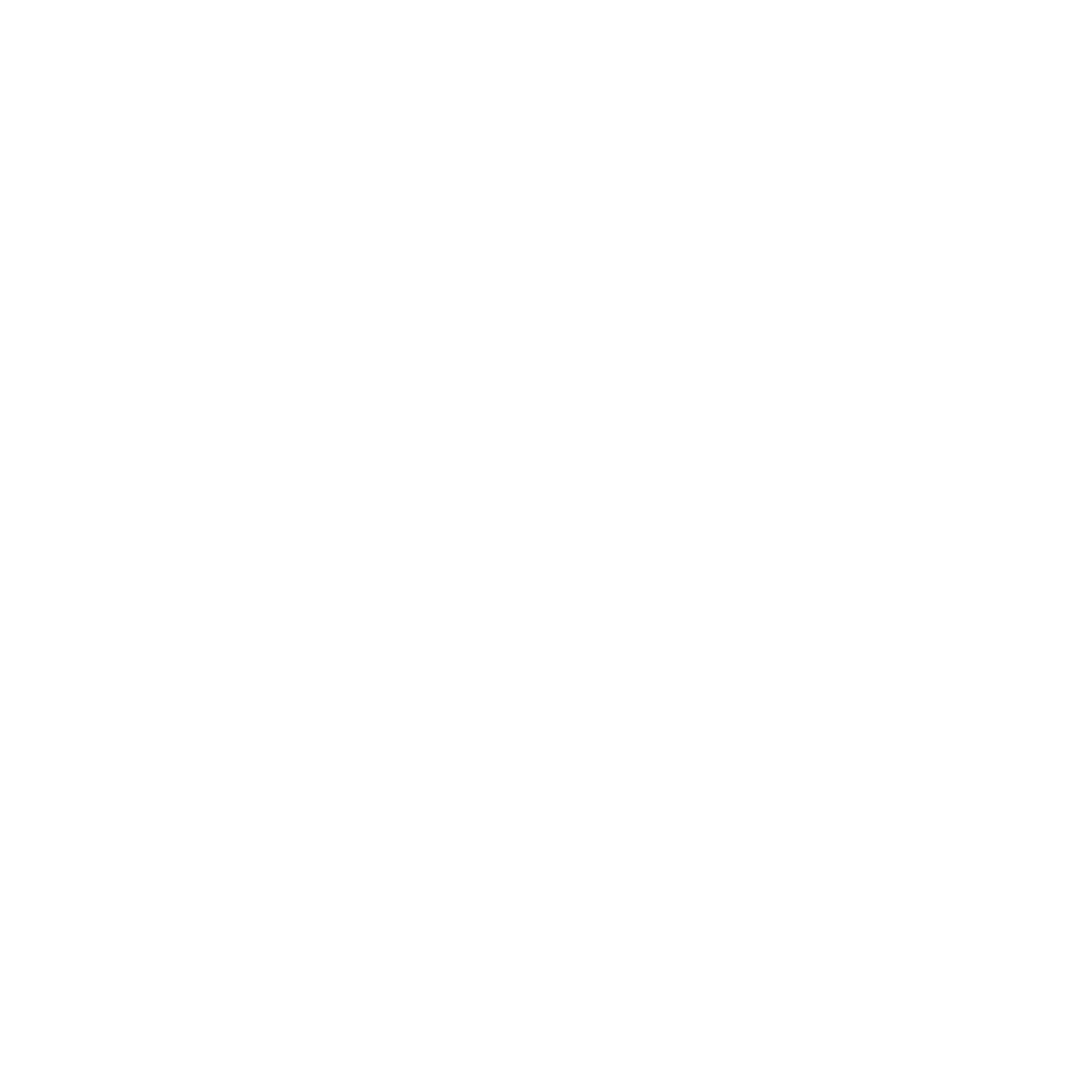 SOA_Logo_White_Transparent_Horizontal