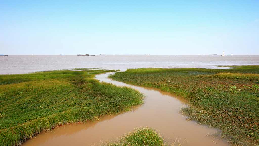 yangtze_estuary